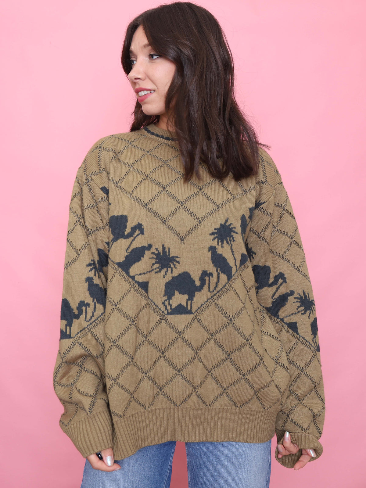 Vintage Camel & Desert Knit Jumper - 90s Graphic Sweater