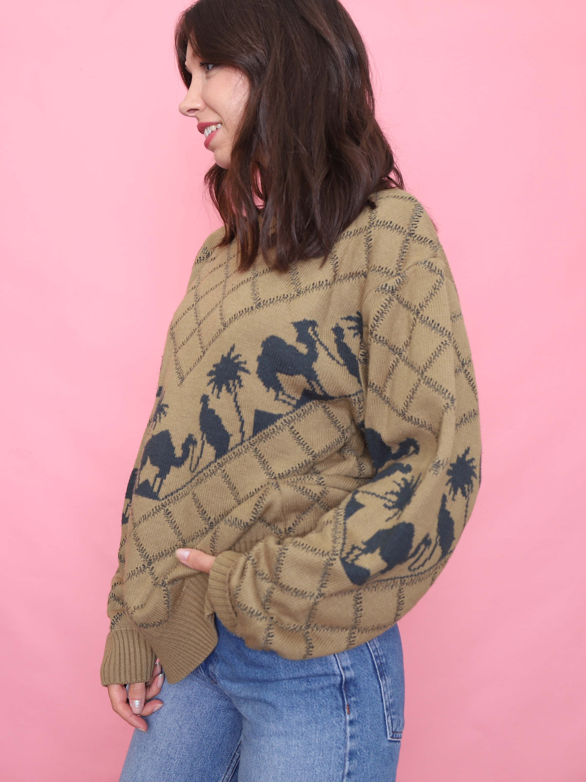 Vintage Camel & Desert Knit Jumper - 90s Graphic Sweater
